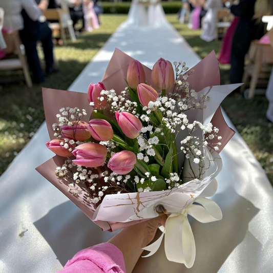 Venecia